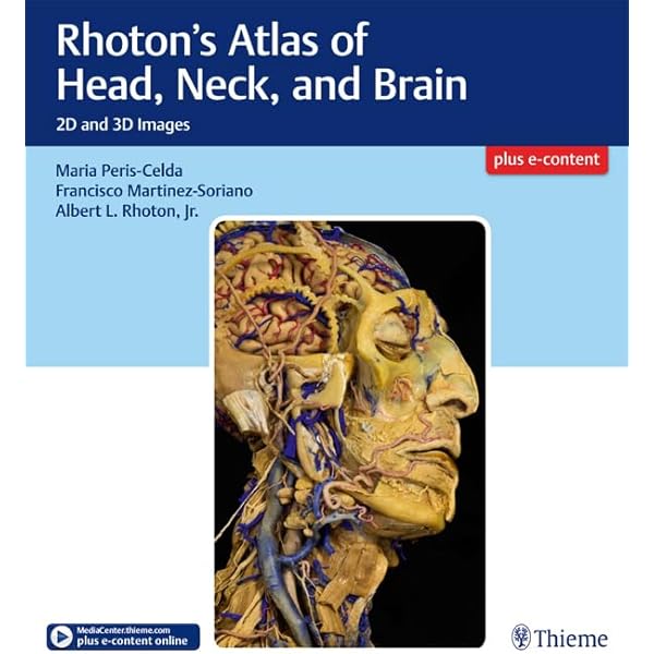 Amazon | Rhoton Cranial Anatomy and Surgical Approaches (English