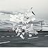 WHITE ASH「Crowds(通常盤)」