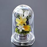 アートフォーシーズン お供え花カラー プリザーブドフラワー (イエロー)