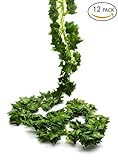 Bird Fiy 観葉植物 78 Ft-12ボストンアイビーリーフ人工偽ハンギングブドウ植物葉ガーランドホームガーデン壁の装飾