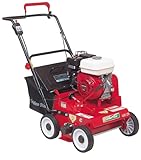 ゴールデンスター キンボシ GDT-350 芝生管理機 エンジン式デサッチャー