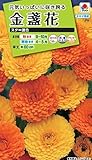 タキイ種苗 金盞花スター混合