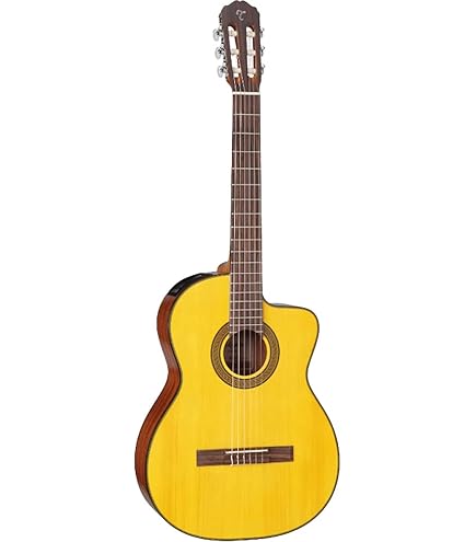 Amazon.co.jp: TAKAMINE DMP670NC VTS タカミネ : 楽器・音響機器