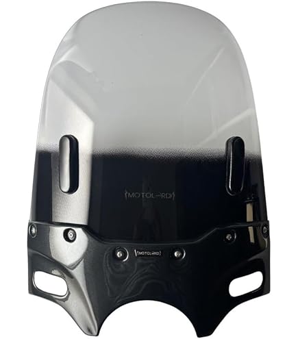 Amazon | スペシャルパーツ武川 メーターバイザーキット スモーク