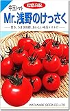 中玉トマト種子・Ｍｒ.浅野のけっさく（19粒）
