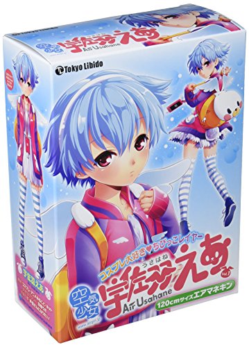 空気少女★宇佐羽えあ