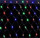 LUCKY CLOVER-A 新しい10 X 8つのミ2600 LEDボクシングデーカーニバル、イースター、感謝祭の妖精ライトは防水屋内屋外の結婚式のパーティーの贈り物クリスマスの飾りを、ネットワーク