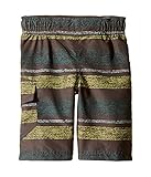 (コロンビア) Columbia キッズ・水着・ボードショーツ・パンツ Solar Stream II Boardshort (Toddler) Voltage Stripe 3T Toddler n
