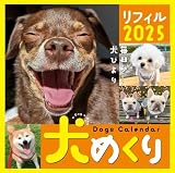 Dogs Calendar 犬めくり リフィル2025: 毎日が、犬びより ([カレンダー])