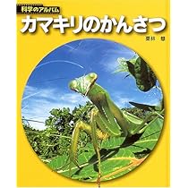 カマキリのかんさつ 新装版 (科学のアルバム虫 10) | 栗林 慧 |本 