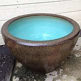 睡蓮鉢/はす鉢/めだか鉢(15号・深鉢)【金ソバ】