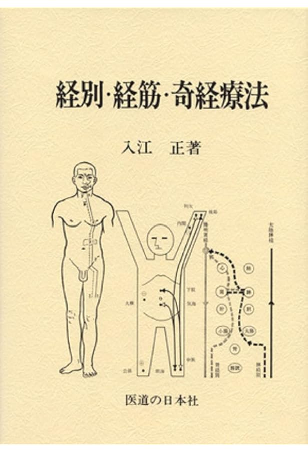 漢方治療原論 入江FTによる診断と治療 | 入江 正 |本 | 通販 | Amazon