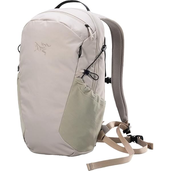 Amazon.co.jp: (アークテリクス)ARCTERYX 14467 Astri 19 アストリ 19