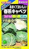 タキイ種苗 おいしさセレクト あまくておいしい春系キャベツ YR春空