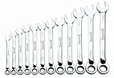 Williams MWS-12RC 12-Piece Metric Reversible Ratcheting Combination Wrench Set [並行輸入品]