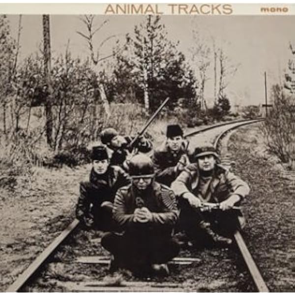 Amazon.co.jp: アニマルズ(紙ジャケット&SHM-CD) - ジ・アニマルズ