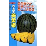 スイカ 種 【 黄こだま美黄姫 (みきひめ) 】 種子 小袋（約8粒）