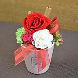 〔エルフルール〕シナモンスティックと1輪バラのプリザーブドフラワークリアケース付 カラー：レッド フラワーギフト 誕生日 還暦 母の日