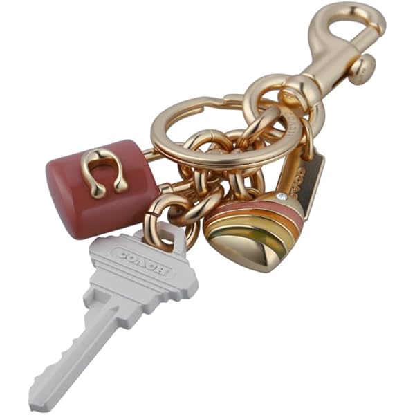Amazon.co.jp: コーチ キーホルダー (コーチ) COACH
