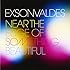 EXSONVALDES「NEAR THE EDGE OF SOMETHING BEAUTIFUL」