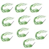 B Baosity 10本　人工植物　枝　壁掛け　多肉植物　78 + 90cm　