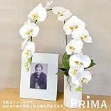 PRIMA コチョウラン×2 アレンジメント 造花 お供え花 お悔やみ花 仏花