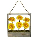 ほぼ自然Gerber DaisyシルクGarden in Wall Hangingフレーム、イエロー