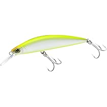 Amazon | ヘビーシンキングミノー STING アカキン | ツリノ