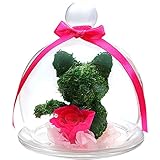 TEATSIGHT プリザーブドフラワー アニマルモス ガラスポット入り フラワーアレンジ ラッピング済み （ 猫 バラ ピンク ）