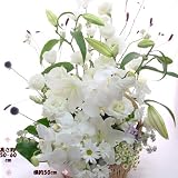 白い花 達と カサブランカ アレンジ お彼岸の花 お盆の花 一周忌 三回忌の花 弔事 四十九日 一周忌 法事 法要 仏事の花 (法事)