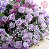 パープルローズ バラ ７０本の花束 タイプ：花束