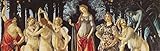 Sandro Botticelliポスター写真壁紙 – Primavera 1482 – 1487、1パーツ(98 x 31インチ