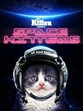 Kitten TV - Space Kittens Kitten TV - Space Kittens