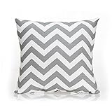 Sweet Potato Swizzle Chevron Pillow, Pink /Grey/White by Sweet Potatoes [並行輸入品]