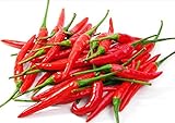 Thai Hot Pepper Seeds Fruit Vegetable - 90 Seeds