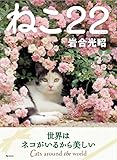 ねこ22(にゃんにゃん) (ねこのきもち)