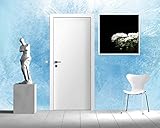 (ウォール26) wall26 – 自己粘着 壁紙 大壁壁画シリーズ 100"x144" WMR-WP-X-D328-100x24x6