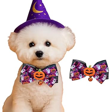 蒼、ハロウィン、ストライプアリス(ブラック)わんちゃん猫ちゃん用襟付き首輪 蒼、ハロウィン、ストライプアリス(ブラック)わんちゃん猫ちゃん用襟