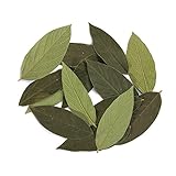 大地農園 プリザーブドフラワー ベルベットリーフ 約5~11cm(25枚入り) グリーン DO01300-700