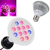 Derlights 36ｗ植物育成ledライト、室内栽培ライト 12pcs赤/青led電球 波長 660nm/460nm E26口金 園芸 水槽照明 観賞向け植物育成用 (12*3W)
