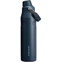 Amazon.co.jp: Stanley All Day Slim Bottle 20 OZ | Twist off