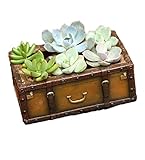 【hekina】植木鉢 プランター ガーデニング フラワーポット 寄せ植え デコレーション (トランク)