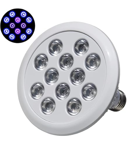 Amazon.co.jp: ZOOX ラグーンシャイナー 60 レクタングル ブルー