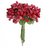 OurWarm花 枯れない果実 造花 花束 フラワー 結婚祝い プレゼント 送別 バラ 花束 誕生日 祝い 本物そっくり ブーケ お祝い 飾り ギフト12本セット (赤)