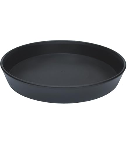 Amazon | SANKO PRODUCT IS皿5号 シンプルデザイン プラスチック