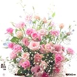 開院お祝いの花 花１空色ピンクのバスケットフラワーアレンジ お祝いの花 メッセージカード付