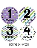 Months in Motion 274 Baby Month Stickers for Newborn Girl Purple Colorful Design by Months In Motion
