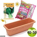 収穫まで40日 「チンゲンサイ」栽培セット 種・土・鉢底石・プランターの4点セット 家庭菜園