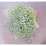 カスミソウの花束 花言葉は「清らかな心」「無邪気」「親切」「幸福」