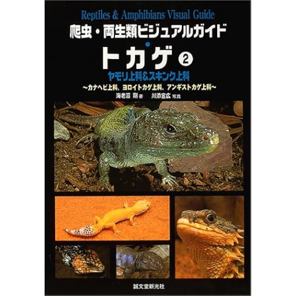 トカゲ 1 (爬虫・両生類ビジュアルガイド) | 海老沼 剛, 川添 宣広 |本